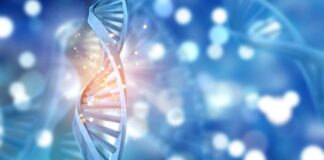 innovacion y tecnologia en salud