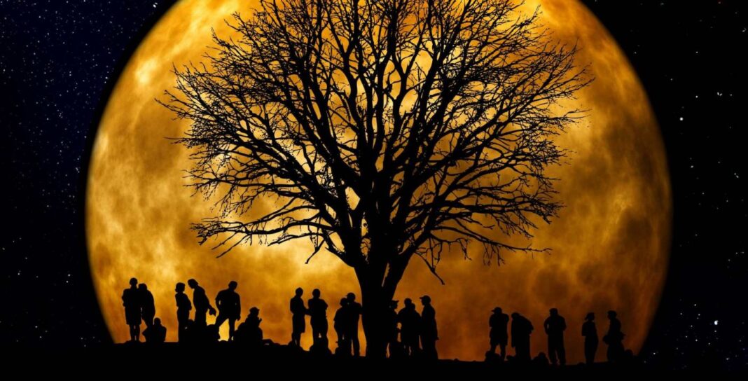 Vivir en la Luna