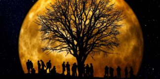 Vivir en la Luna