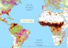 plataformas para visualizar datos de interés