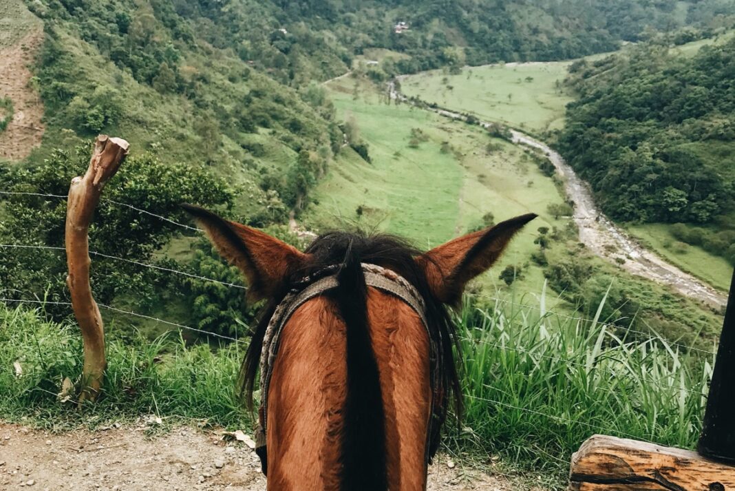 conectividad rural Colombia