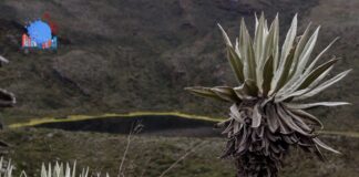 ciencia sostenibilidad colombia