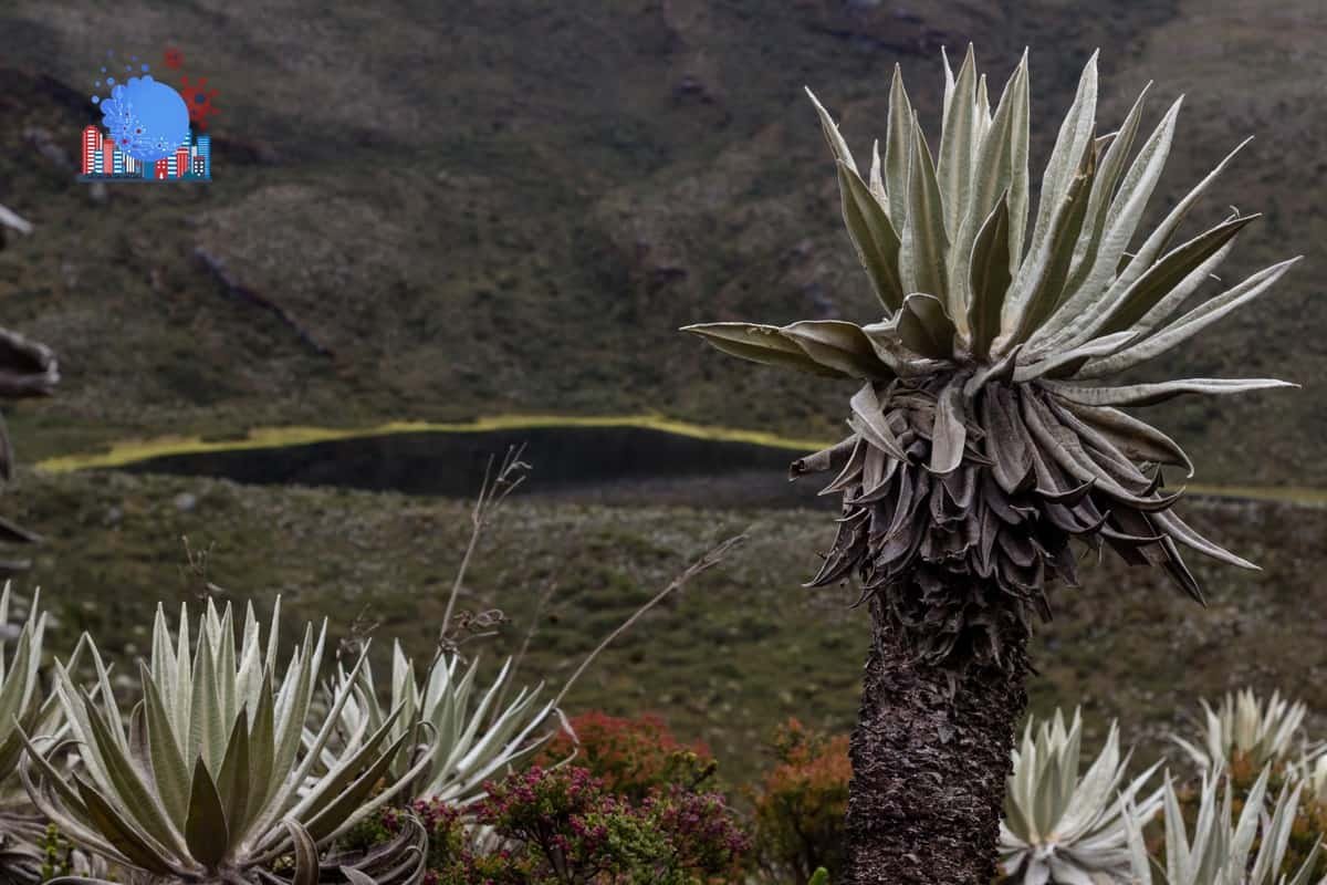 ciencia sostenibilidad colombia