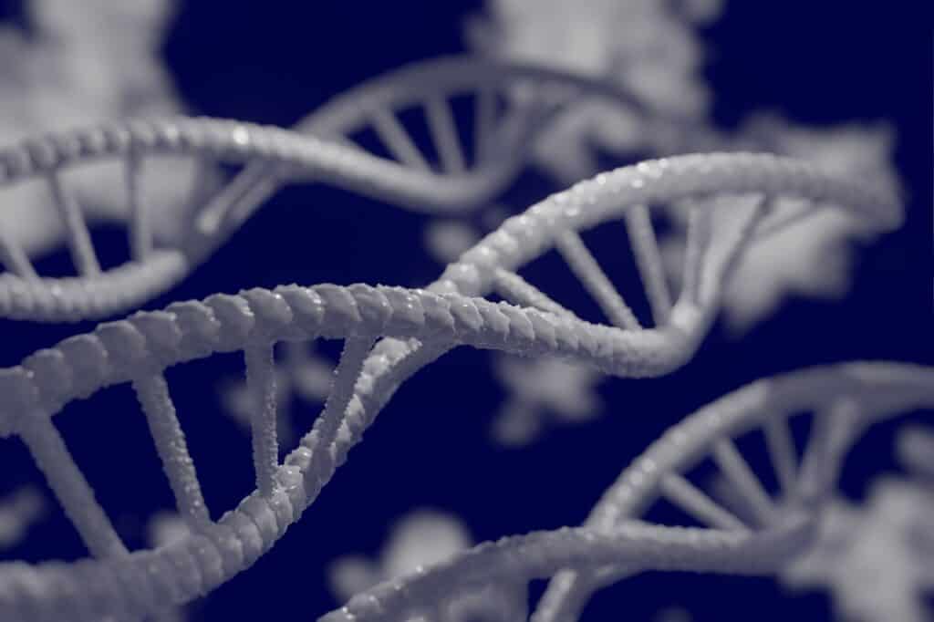 dna 5297378 1280