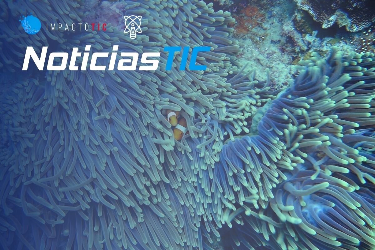 noticiastic-ciencia-actividad-humana-arrecifes