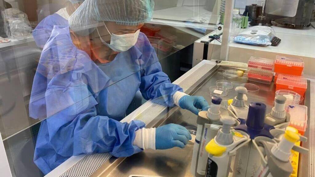 Science-District-Institute-of-Science-Biotechnology-and-Innovation-in-Health-1