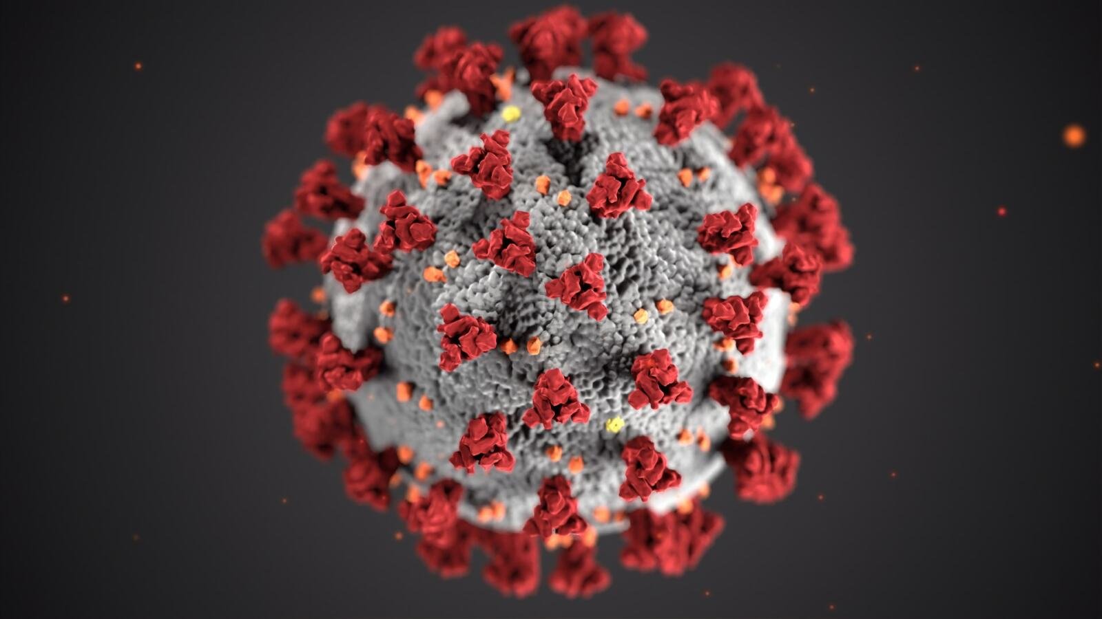 Agregacion-coronavirus-omicron
