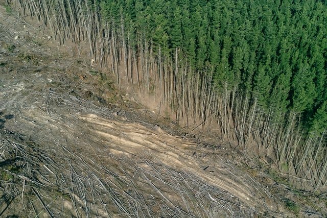 Ciencia-deforestacion-amazonia-brasil