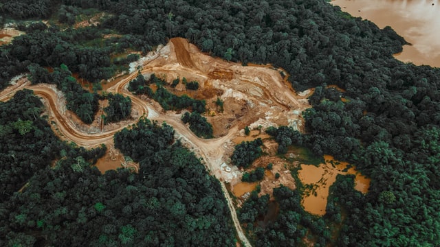Ciencia-deforestacion-colombia-acuerdo-paz
