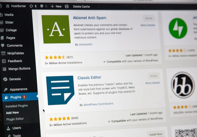 Tecnologia Plugin WorPress vulnerabilidad