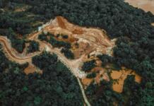 Los SIG y su impacto en la deforestación en Colombia