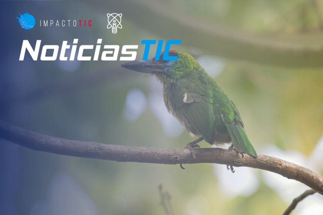 NoticiasTIC-Ciencia-Global-Bird-Day