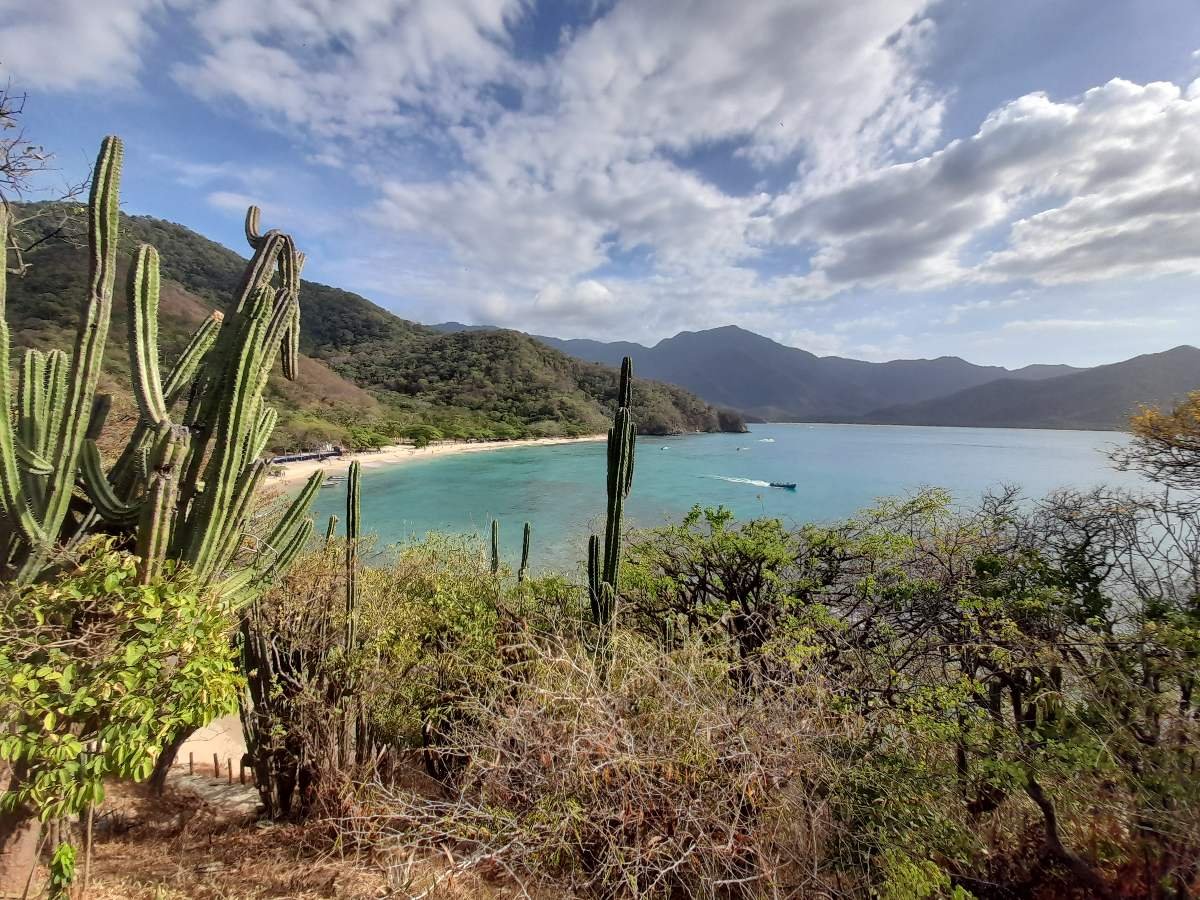 Proyecto busca que la Tecnología y los saberes ancestrales lleven agua potable a comunidades indígenas