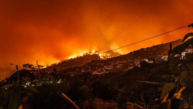 incendio-forestal-economia-circular-portugal