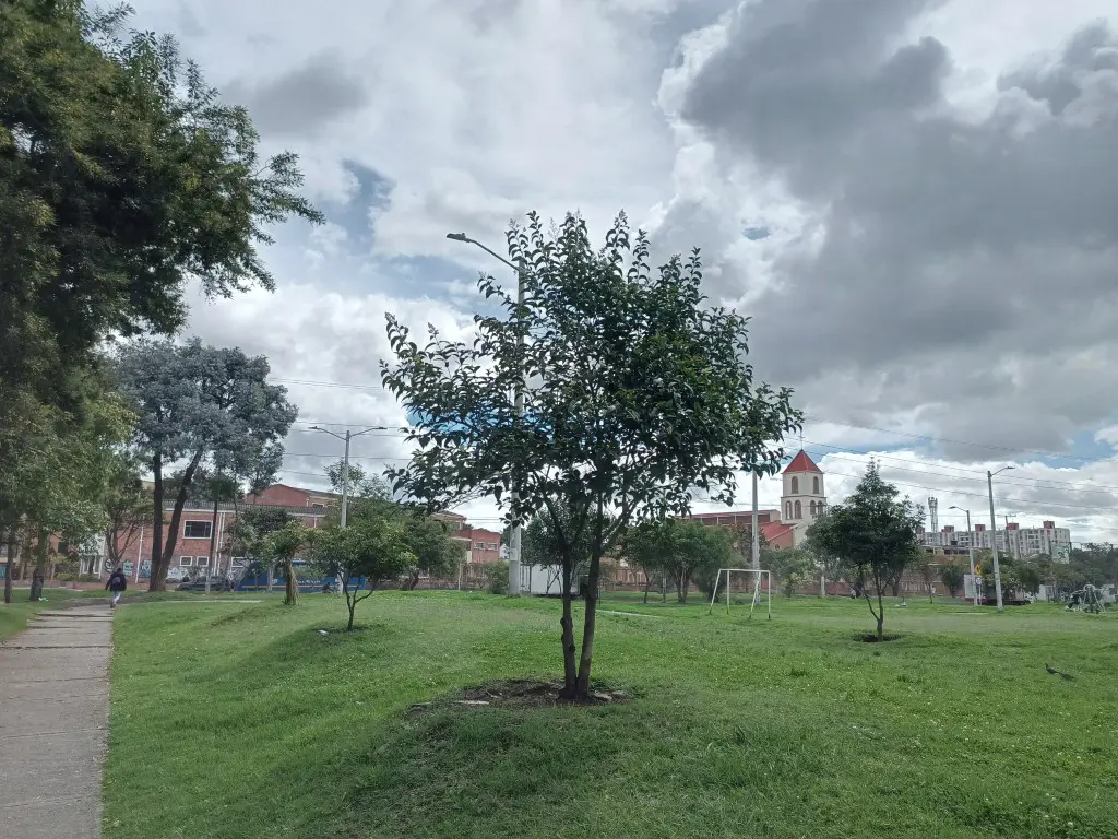 infinix zero 5g camara test