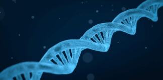 ARN - Origen de la vida