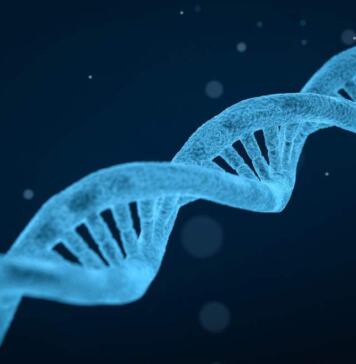 ARN - Origen de la vida