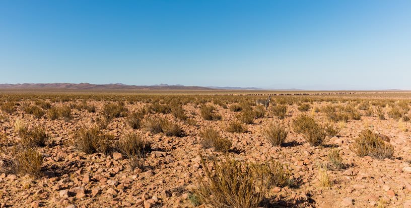 desertificación