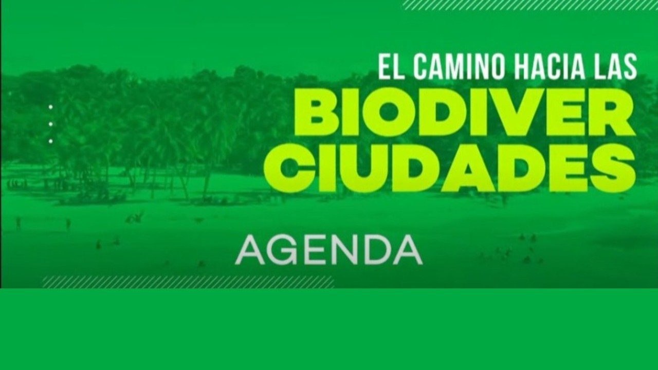BiodiverCiudades