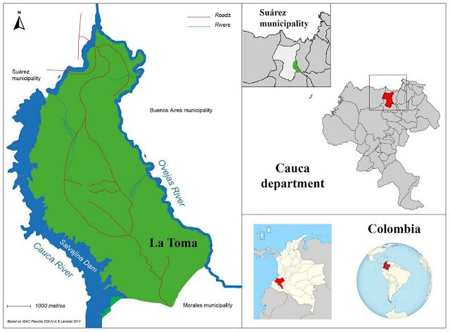 Grafico La toma