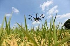 Dron para AgTech. Foto: Flickr