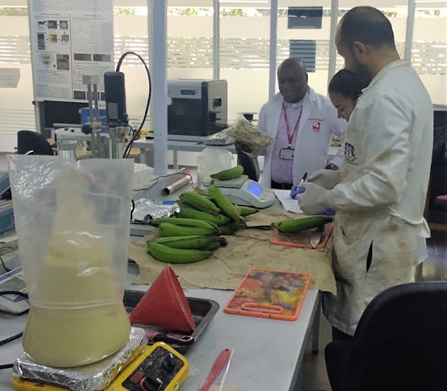 Con plátano y piña, Univalle busca reemplazar plásticos de un solo uso