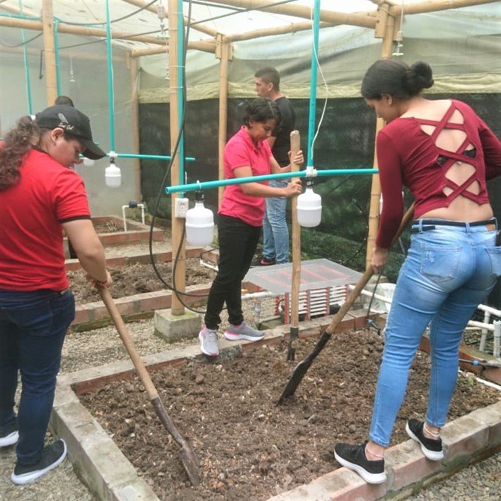 Univalle avanza en proyecto de invernaderos autónomos