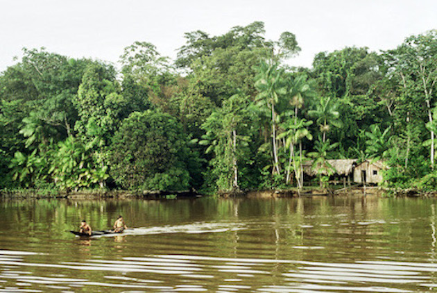 Selva Amazónica. Foto: Wikimedia Commons.
