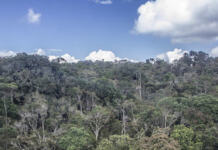 Bosques de Colombia