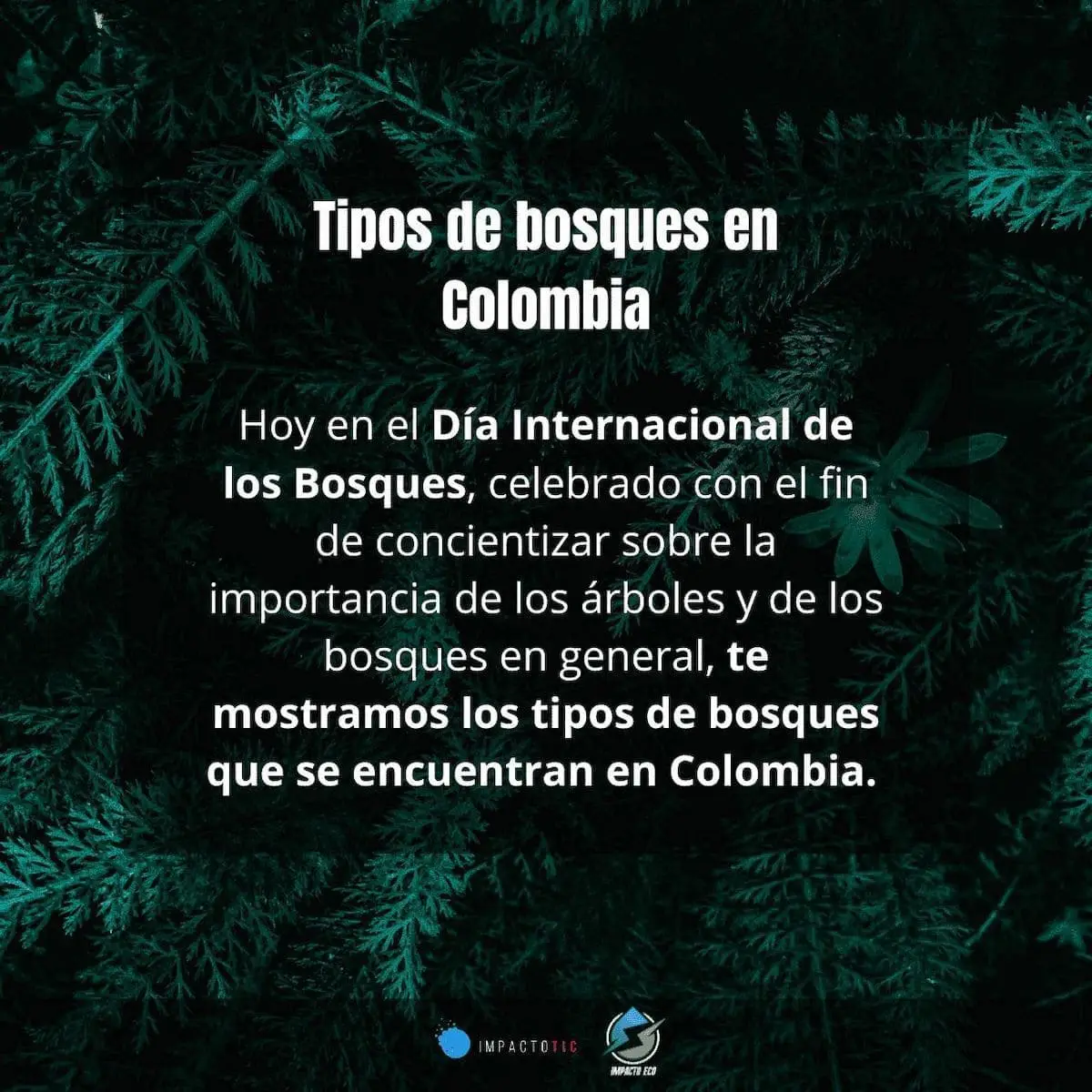 Tipos de bosques