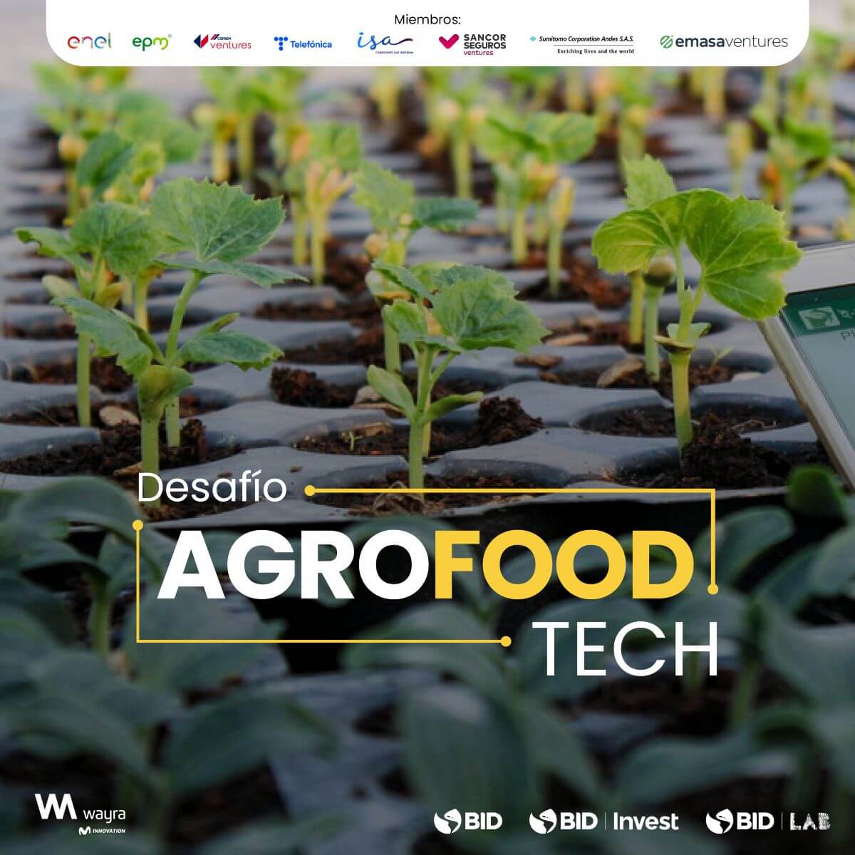 Foto Desafio AgroFoodTech
