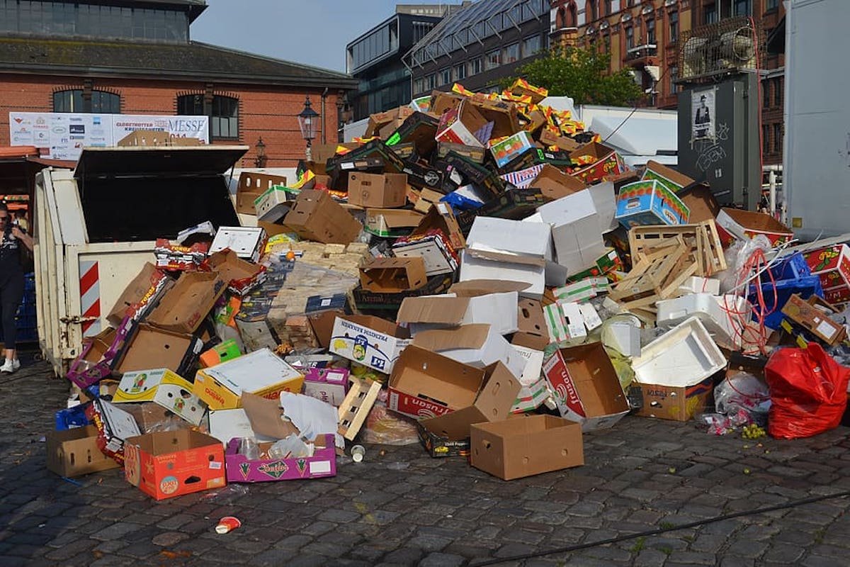 garbage environmental protection cardboard pollution
