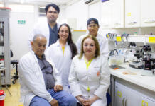 Univalle investigación cacao
