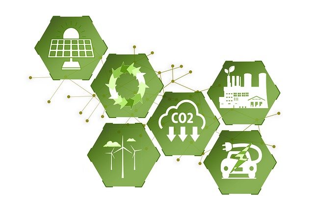 Día Mundial del Medio Ambiente: Empresas de tecnología están planificando un futuro sostenible - imagen relacionada
