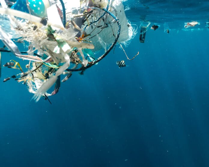 Día Mundial del Medio Ambiente