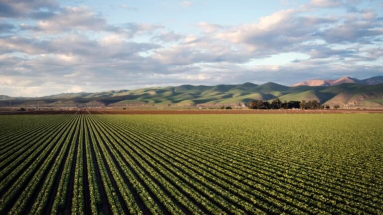Colombia lidera la innovación agroalimentaria en Hispanoamérica con 2 startups nacionales