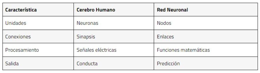 Redes neuronales artificiales y cerebro humano