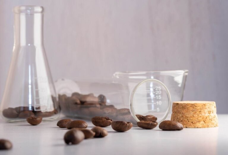 Agricultura celular: ¿cómo se produce cacao real en biorreactores sin necesidad de suelo agrícola?