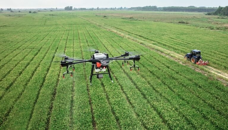 Agricultura 4.0: IA y automatización en el agro