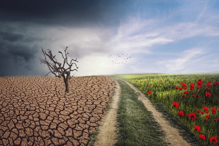 Cambio climatico Pixabay