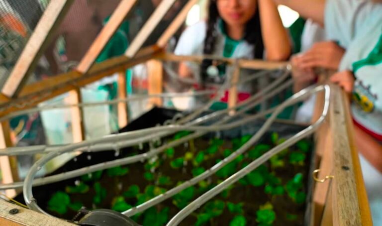 Tecnología en Calarcá: Avances de conectividad en instituciones educativas rurales