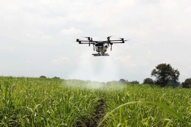 Conectividad, educación e innovación: los desafíos de Colombia hacia la revolución agrícola