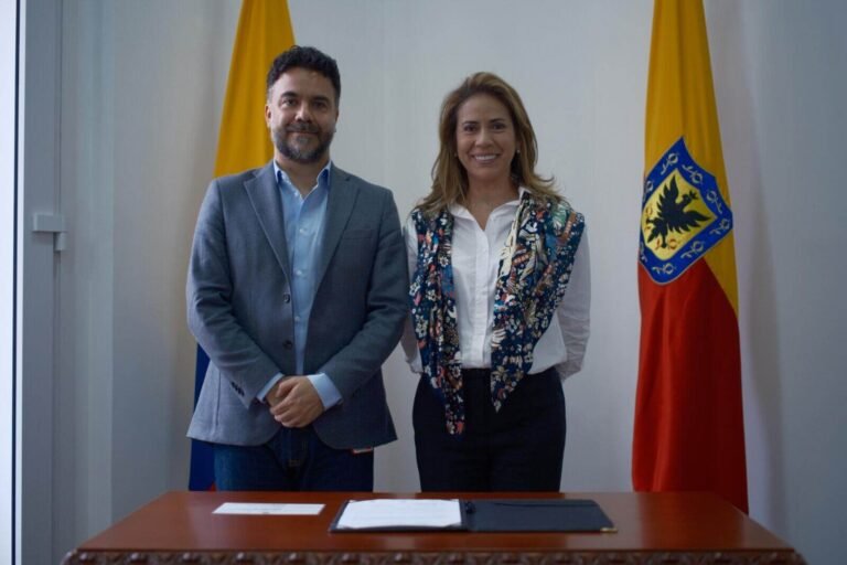 Diana Celis es la nueva Consejera Distrital de TIC