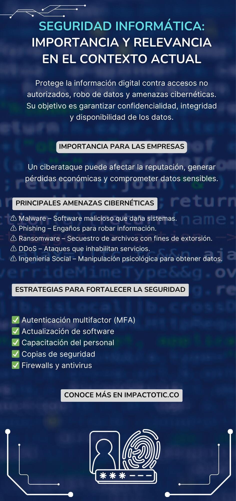 Infografia Seguridad Informatica