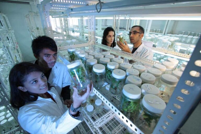 Colombia será la sede del Foro Abierto de Ciencias de América Latina y el Caribe