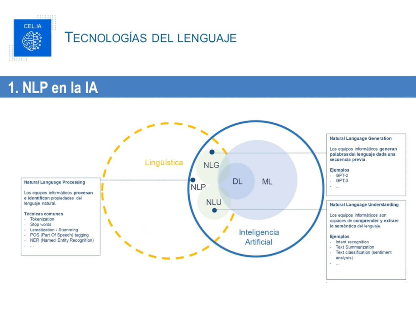 NLP ITG CELIA Valentina Defelipe Diaz