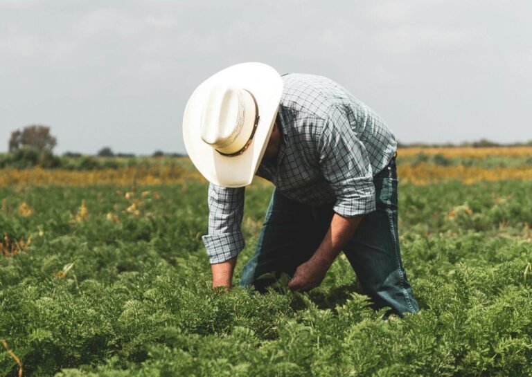 Tecnología en el Agro colombiano: Innovación desigual en el campo