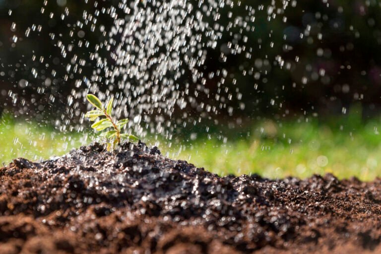 Tecnología para la gestión del agua: Casos de éxito y tendencias