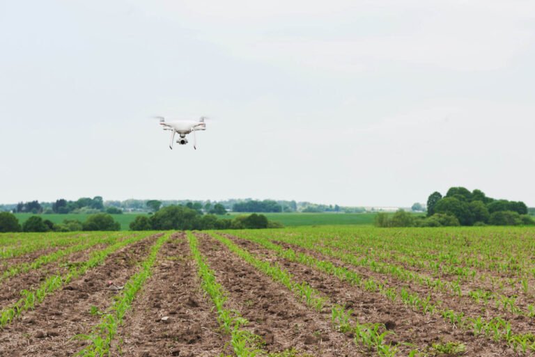 Agrotech, aliada para mitigar la crisis alimentaria