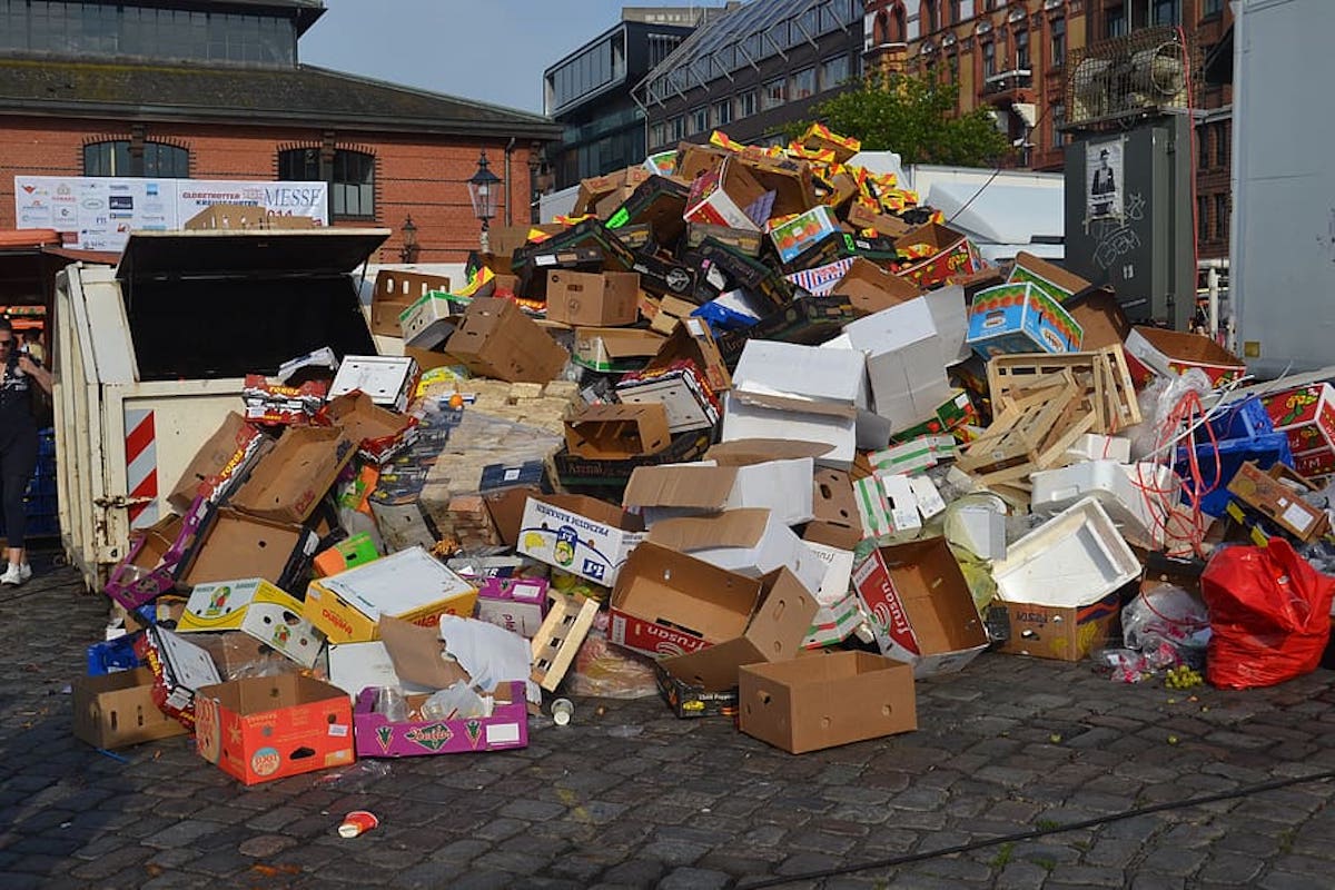 garbage environmental protection cardboard pollution